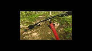 I miss these MTB trails mountainbiking mtb shorts mtblife enduromtb bike downhillmtb gopro [upl. by Yellek98]