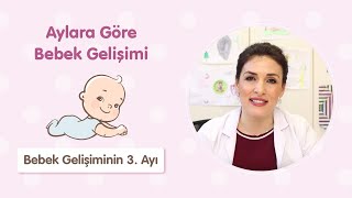 Bebek Gelişiminin 3 Ayı  Dr Aylin Şimşek [upl. by Addison565]