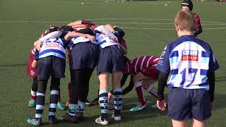 Sale Sharks U10s Festival of Rugby  20th October 2018  Wirral v Winnington Park [upl. by Eintruoc]