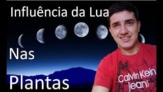 Calendário Lunar Na Horta Saiba o melhor momento de plantar e colher Influência da lua nas plantas [upl. by Ivah473]