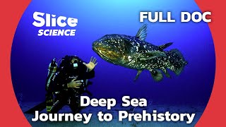 Coelacanth The Living Fossil of the Abyss  SLICE SCIENCE  FULL DOCUMENTARY [upl. by Ettennej]