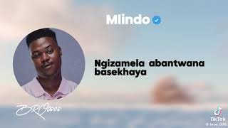 Mlindo long live her songs 😎 [upl. by Germano]