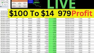 Best Forex Robot Of 2023 With SLTP [upl. by Gaskill]