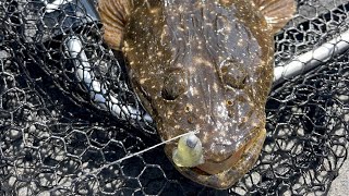 Flathead catch and cook Mallacoota [upl. by Aicila218]