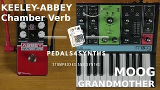 Pedals4Synths  KEELEY  Abbey Chamber Verb WMOOG Grandmother [upl. by Acinor]