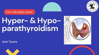 Pathophysiology of HyperHypoparathyroidism [upl. by Coyle]