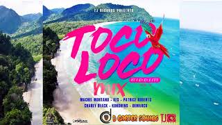 Toco Loco Riddim Mix Soca 2019 D Carter Sounds [upl. by Ahsillek]