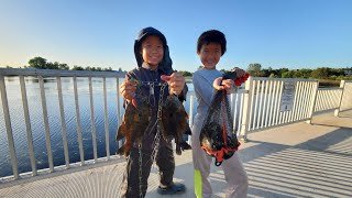 BluegillPanfish Fishing at Willow Hill Reservoir 5222024 [upl. by Naujad]