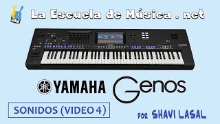 Sonidos del Teclado Yamaha Genos  vídeo 4  Guitarra bajos percusión melódica pads y sintes [upl. by Hrutkay]