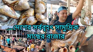 ফিশারি ঘাট মাছ বাজার কক্সবাজার ।। Fishery ghat ।। Sea fish market Coxs Bazar ।। Khushnur Nahid ।। [upl. by Zohara]