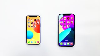 iPhone 12 Vs iPhone 12 mini  Speed Test [upl. by Hairim933]