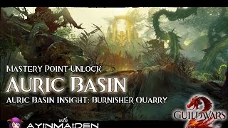 Guild Wars 2  Auric Basin Insight Burnisher Quarry [upl. by Quartet508]