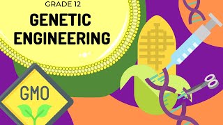 Genetic Engineering  EASY TO UNDERSTAND [upl. by Animor867]