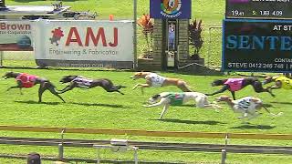 Capalaba06102024Race7 [upl. by Adierf]