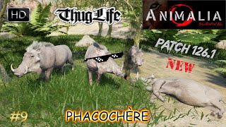 ANIMALIA SURVIVAL GAMEPLAY 9 TEST DE LA NOUVELLE MISE À JOUR ET DU NOUVEL ANIMAL  LE PHACOCHÈRE [upl. by Terryn]