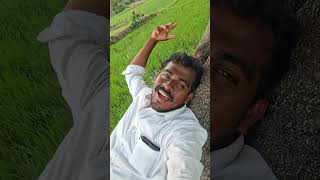 tamiltrending villagelife villagevlog vllogger [upl. by Jezabelle]