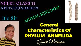 Phylum Annelida  Animal Kingdom  Diversity in Living Organisms  Biology NCERT [upl. by Novello463]