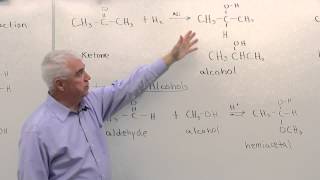 Reactions of Aldehydes amp Ketones [upl. by Florrie969]