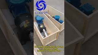 CIXIFM Magnetic Metering Pump High Speed ​​Pump Industrial Chemical Pump pumpingsolutionsgearpump [upl. by Ahsilat264]