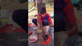 Incredible Giant Big Telapia Fish Cutting Skills shorts fishcutting youtubeshorts shortsfeed [upl. by Ayerdna814]