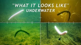 4 Wacky Rigging Methods  What it Looks Like Underwater [upl. by Adnirem]