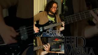 Coheed songs are VERY fun to play on BASS [upl. by Rachele389]