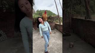 A big rooster that can understand human language a famous rooster on the Internet a fighter am [upl. by Fatma83]