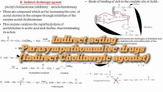 12Medicinal ChemistrySAR of Indirect Parasympathommitec drugs Indirect Cholinergic agonist [upl. by Giralda958]