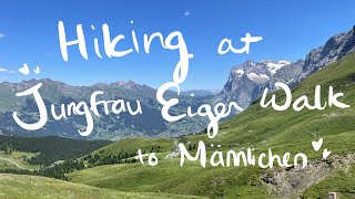 스위스 융프라우 아이거 워크 하이킹 Hiking at Jungfrau Eiger Walk [upl. by Zetnom799]