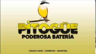 Pitogue  Samba Enredo  Brilla como Oro [upl. by Arod887]