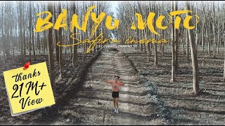 Safira Inema  Banyu Moto  Dj Santuy Full Bass Official Music Video [upl. by Oidgime211]