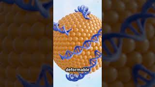 Dermal Liposome Development Enhancing Skincare skincare drugdelivery nanotechnology [upl. by Pierrepont356]