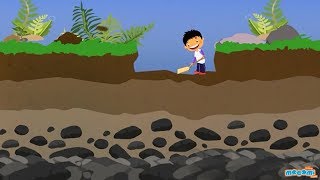 Soil Profile of Earth  Soil Layers and Horizons  Geography for Kids  Educational Videos by Mocomi [upl. by Vorfeld]