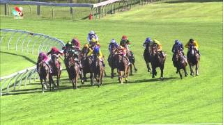 Capitalist wins the 2016 Magic Millions [upl. by Gunthar]