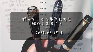 今使っている万年筆を紹介します✴︎モンブラン✴︎パイロット✴︎プラチナ✴︎グレースデモナコ✴︎144✴︎紫雲✴︎ヘリテイジ912✴︎カヴァリエ✴︎フォルカン✴︎ポスティング✴︎カヴェコ✴︎グランセ [upl. by Eca]