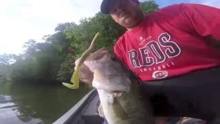 Burner Worm Bass Fishing Tips [upl. by Eolhc]