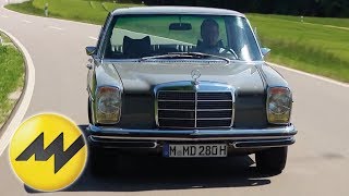 SammlerTraum Der Mercedes 280 E  Motorvision [upl. by Carol]