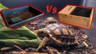 How to Set Up Your Baby Sulcata Tortoise Enclosure [upl. by Linus]