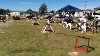 Woodchopping Final Women’s Single Handed Sawing Handicap NTAA Carnival Exeter 121024 [upl. by Locklin907]