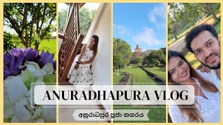 පූජා නගරයට ළඟම hotel එක  Days in Anuradhapura  Travel Vlog [upl. by Eenahpets870]