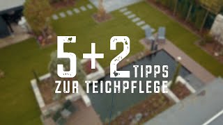 Die richtige Teichreinigung  5 2 Tipps für klares Wasser [upl. by Mahala]