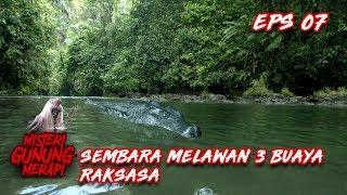 ADA BUAYA Sembara Melawan 3 Buaya Sekaligus  Misteri Gunung Merapi Eps 7 [upl. by Bobina]