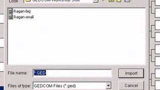 Genealogy  Working with GEDCOM Files Made Easy  Part 2 [upl. by Oelgnaed]