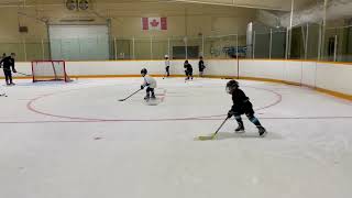 MINOR HOCKEY DRILL  Obstacle Course With Progressions [upl. by Nordin]