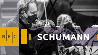 Schumann Piano Quartet in Eflat Major Opus 47 [upl. by Syl]