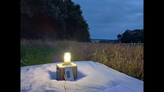 Moth trapping  Lound Wood July 17th 2024 [upl. by Ateekram]