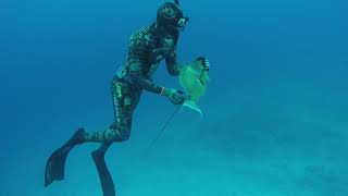 Spearfishing French Polynesia Oct 2017 [upl. by Eirameinna]