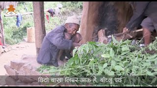 Chepang Community  Raksirang Rural Municipality  छेपाङ समुदाय सम्बन्धी कार्यक्रम । NTV Program । [upl. by Martha]