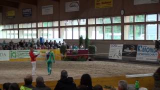 SM Rosental Wängi 2014Einzel Lütisburg [upl. by Misaq399]