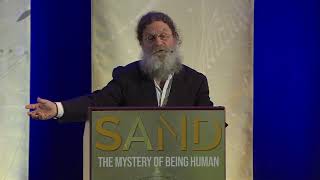 Are We Just Another Primate Robert Sapolsky [upl. by Anialram]